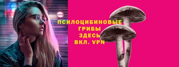 прущие грибы Переславль-Залесский