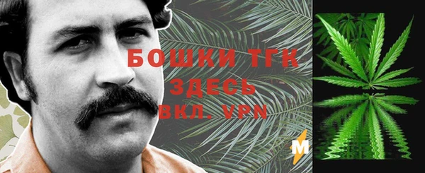 молекула духа Абдулино