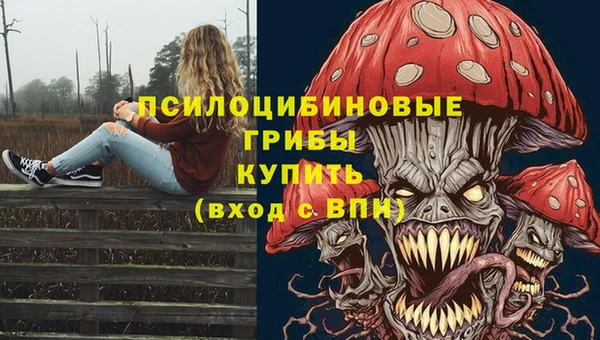 прущая мука Пестово