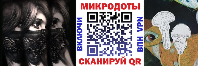 купить   Великий Новгород  Галлюциногенные грибы мицелий 