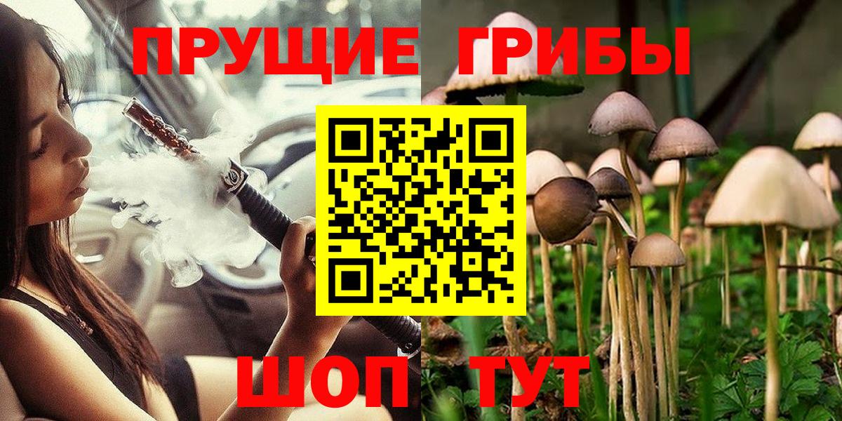 Галлюциногенные грибы Magic Shrooms  Вход с VPN  что такое   Псилоцибиновые грибы Psilocybine cubensis  Великий Новгород 