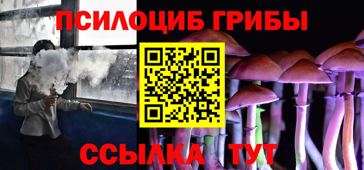 Псилоцибиновые грибы Magic Shrooms Великий Новгород
