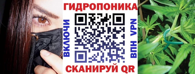 Шишки марихуана гибрид  Великий Новгород 